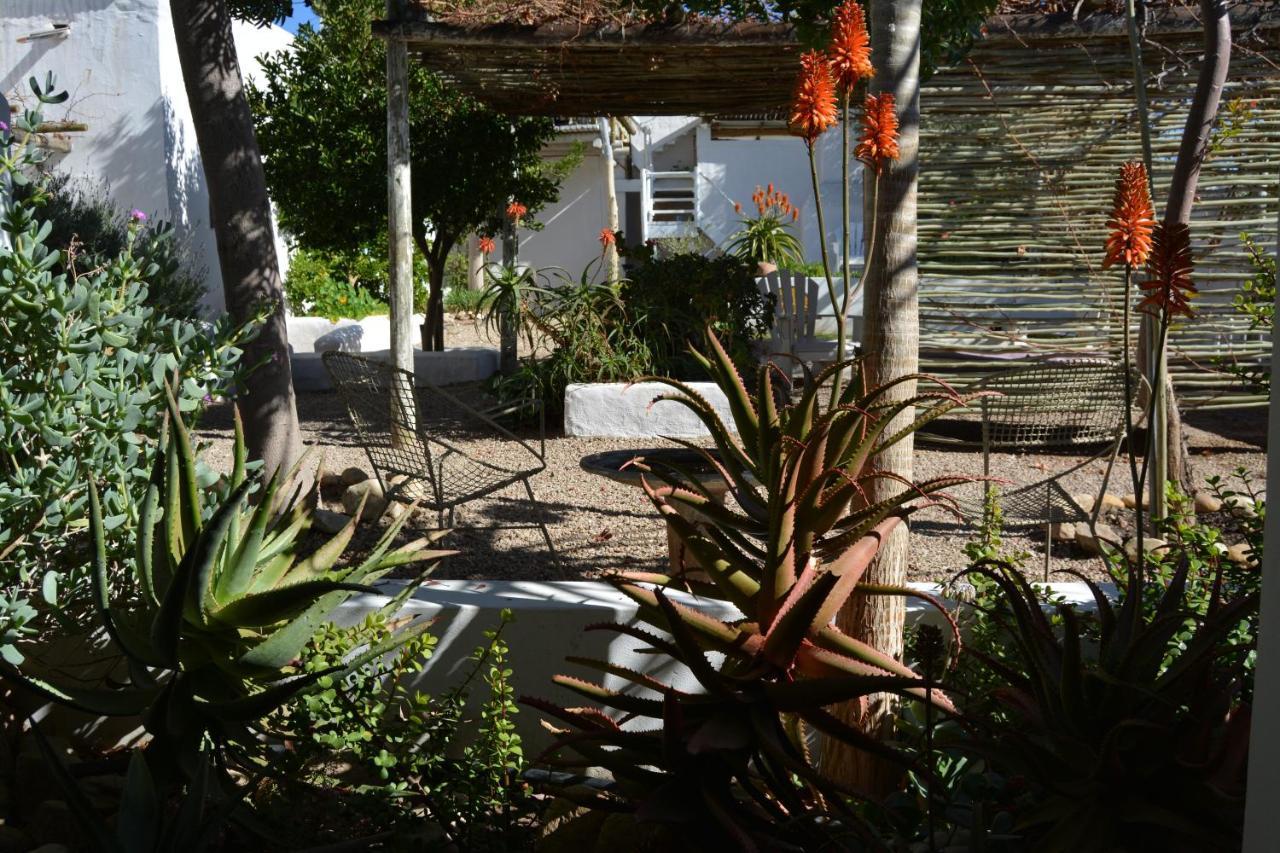 Ta Mala's Cottage Prince Albert Esterno foto