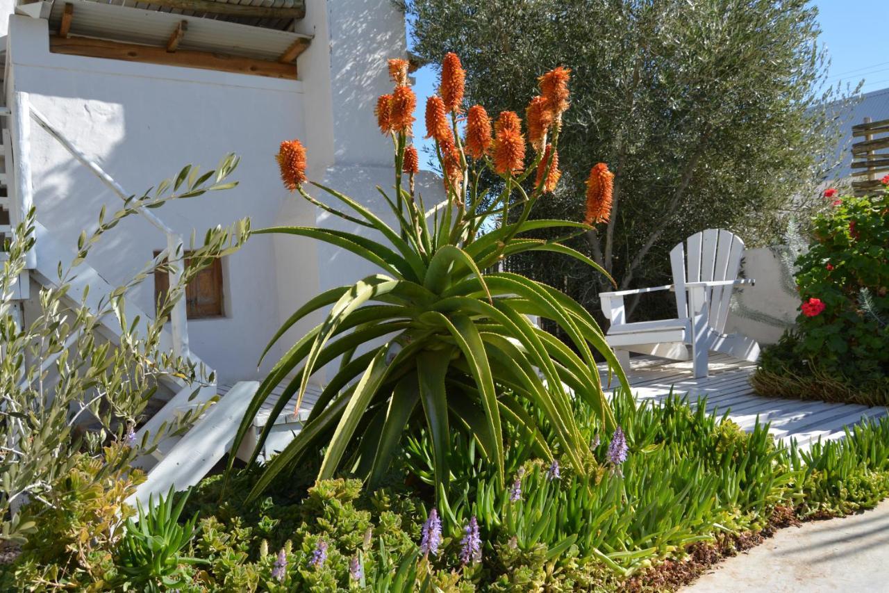 Ta Mala's Cottage Prince Albert Esterno foto
